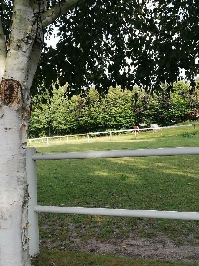 스벤보르 Tankefuld Living'S Horsefarm 아파트 외부 사진
